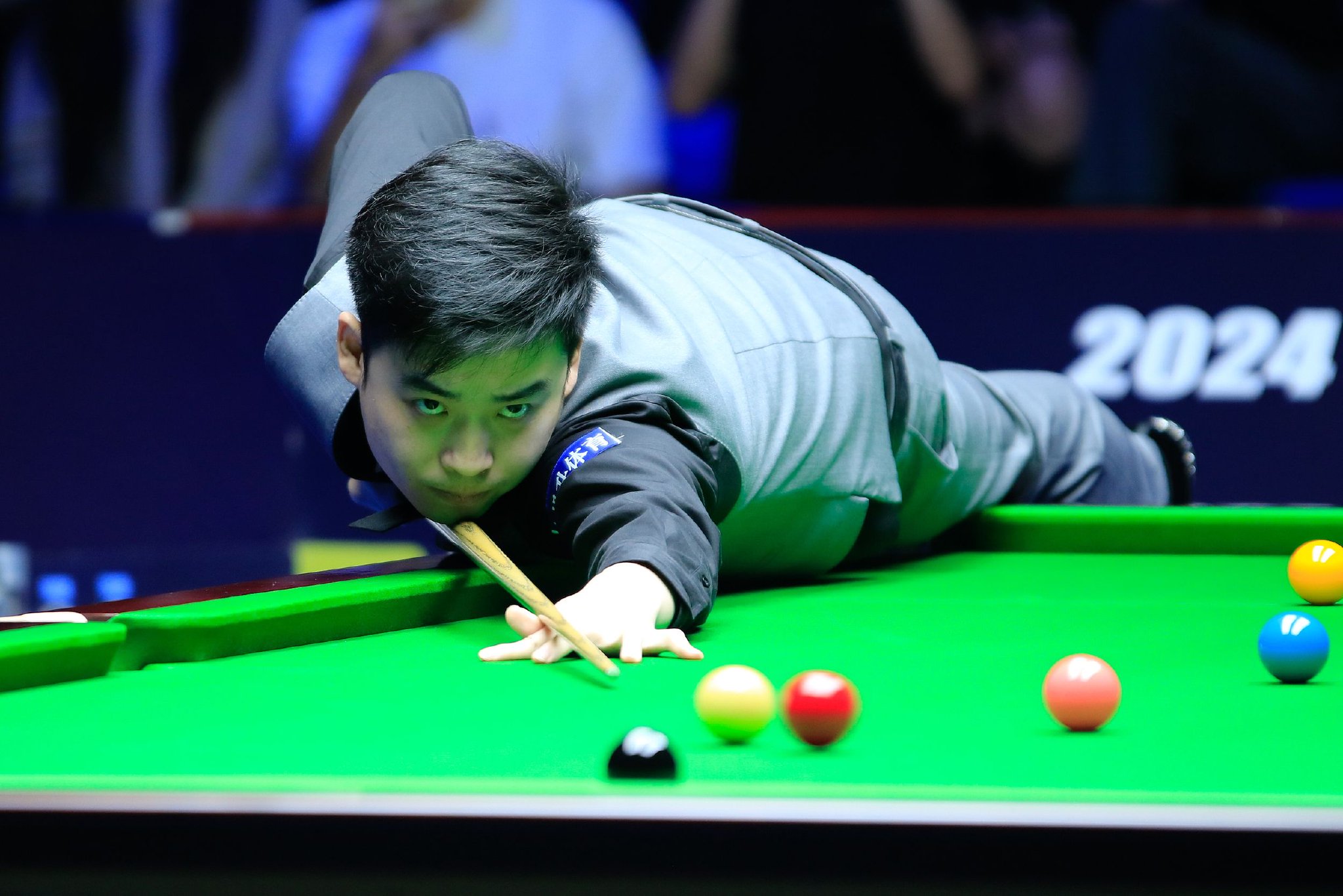 取得了显著 取得了显著